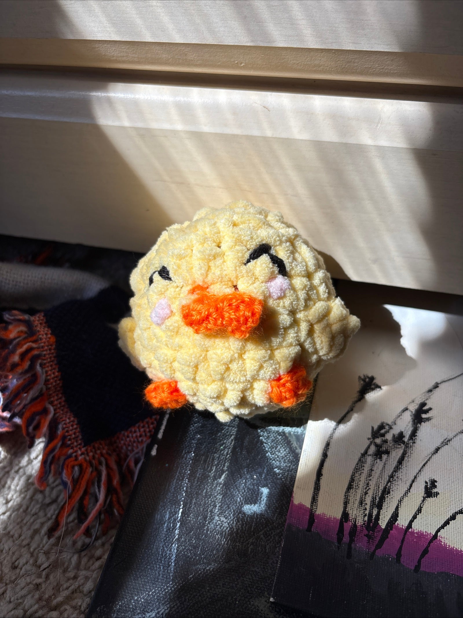 Baby ducks/chicks